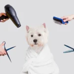 Pet Grooming Tools