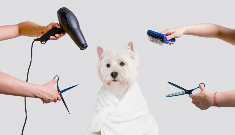 Pet Grooming Tools