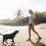 Pet-Friendly Vacations: The Best Destinations for Pet Owners