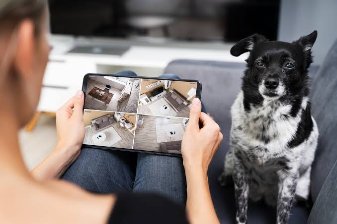 Smart Pet Tech of 2026: Trackers, Feeders, and Safety Gadgets Worth Buying