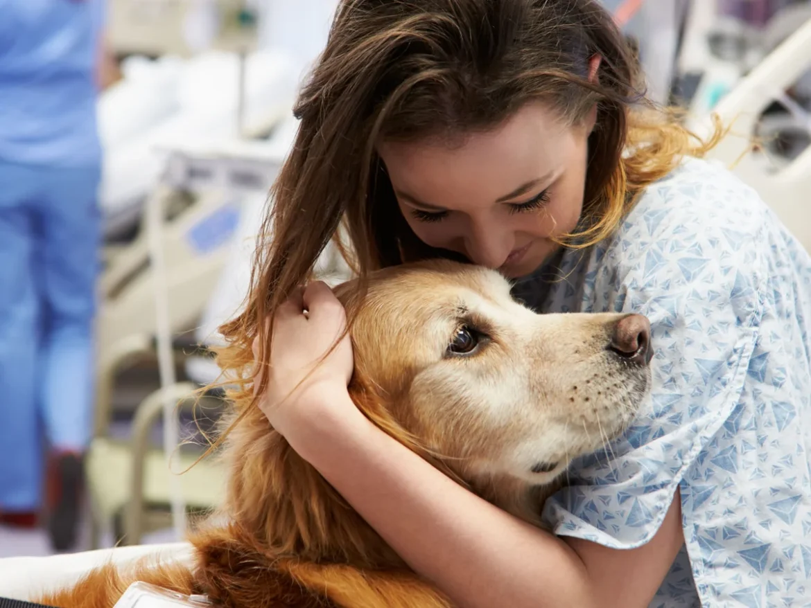 Understanding Pet Mental Health: Signs of Stress, Anxiety, and Depression in Cats & Dogs