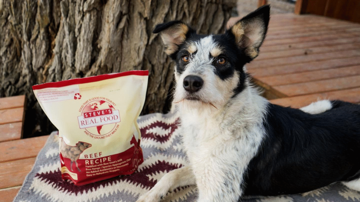 Raw vs Processed vs Freeze-Dried Foods: What’s Best (and Safest) for Your Pet?
