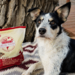 Raw vs Processed vs Freeze-Dried Foods: What’s Best (and Safest) for Your Pet?