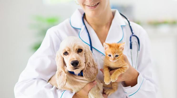2026 Preventive Pet Care Calendar: Monthly Tips for Healthy Pets