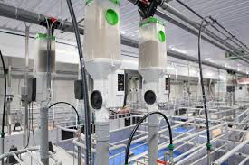 Automatic & Smart Feeding Systems: Which Ones Are Worth the Investment?