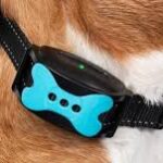 How Smart Wearables & GPS Collars Improve Pet Safety and Health Tracking