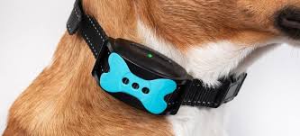 How Smart Wearables & GPS Collars Improve Pet Safety and Health Tracking