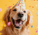 How to Celebrate Your Pet’s Milestones