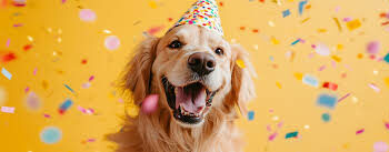 How to Celebrate Your Pet’s Milestones