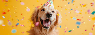 How to Celebrate Your Pet’s Milestones