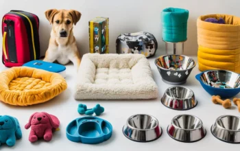 Pet Products That Actually Make a Difference in 2026