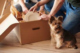 How Moving to a New Home Affects Your Pet’s Mental Health
