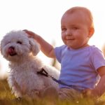 How to Help Your Pet Adjust to a New Baby