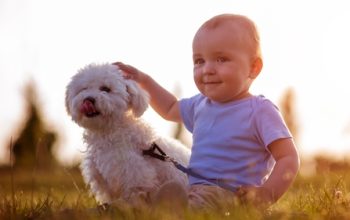 How to Help Your Pet Adjust to a New Baby